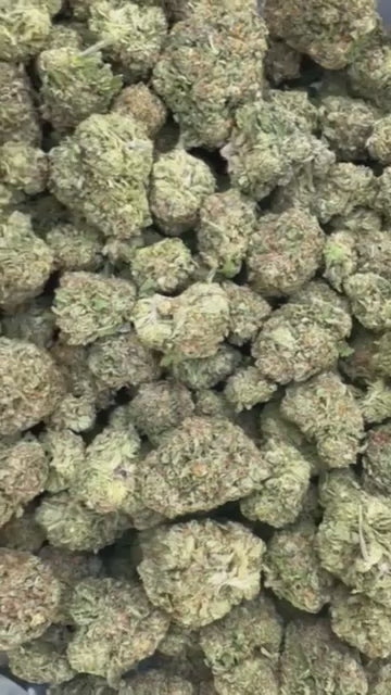 Animal Cookies - Bulk - Indica