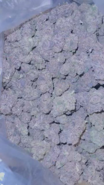 Kush Mintz - Bulk - Hybrid